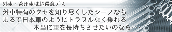 外車・欧州車整備